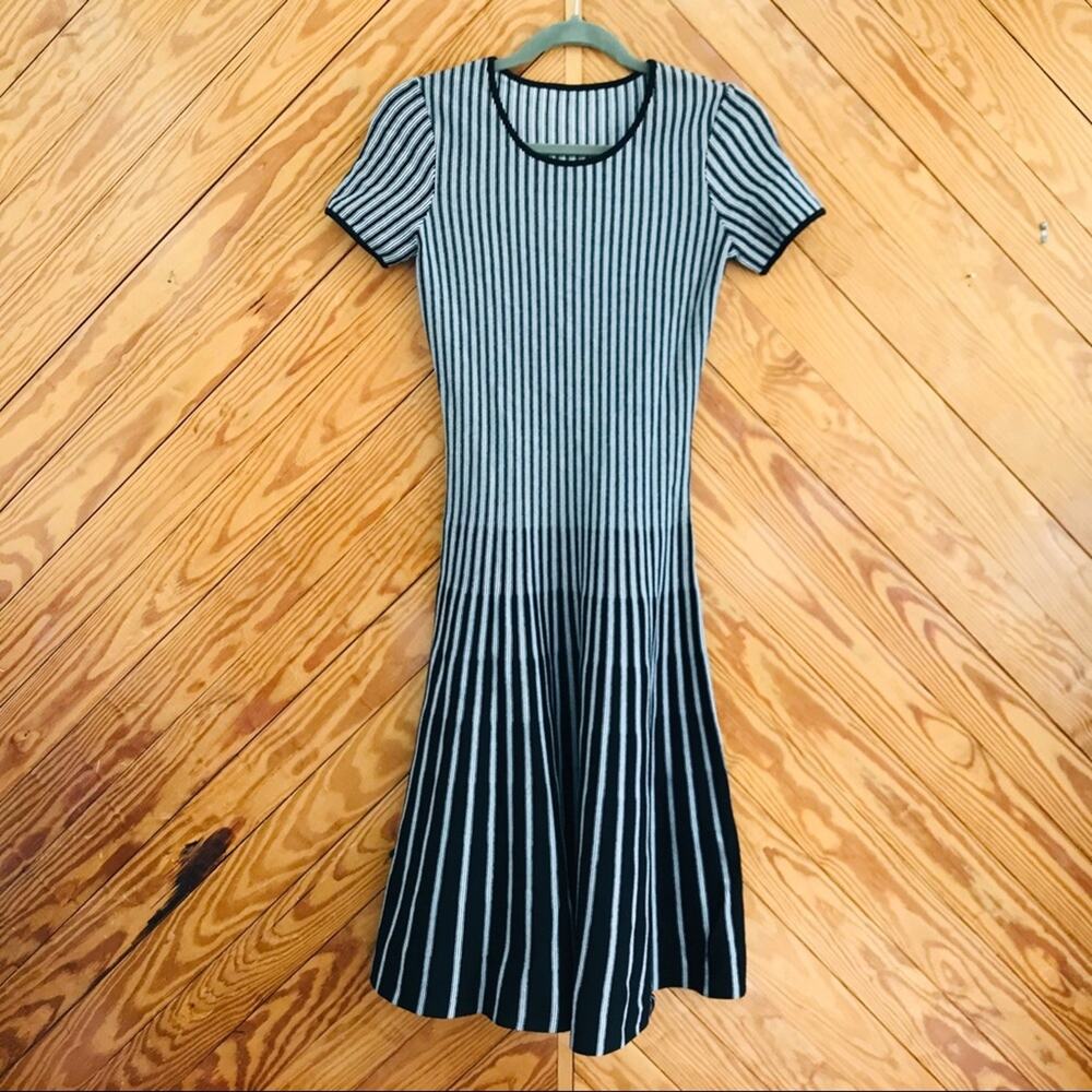 Tomas Maier Stripe Knit Fit and Flare Dress - Picture 4 of 8